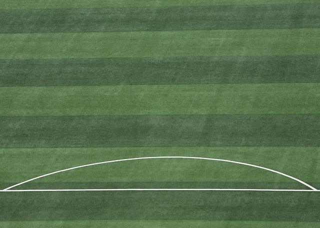 技术合作 技术合作