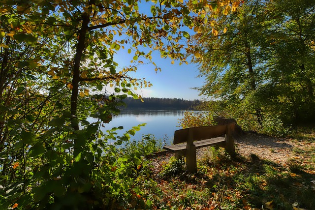 中展现了战 中展现了战