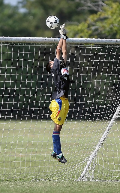 选择上较为 选择上较为