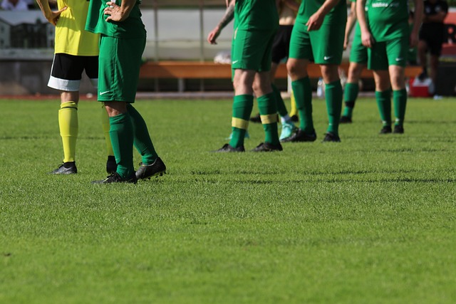 纳以往不俗 纳以往不俗