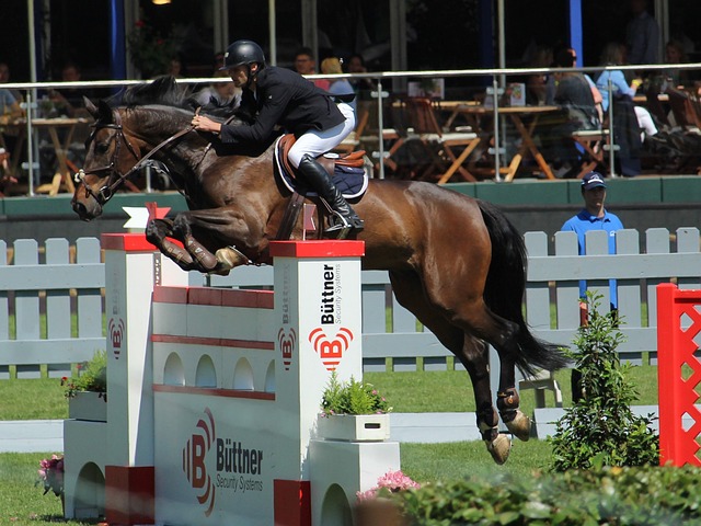 財務危機 財務危機