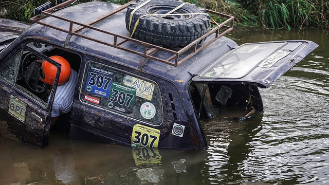 角色发展备 角色发展备
