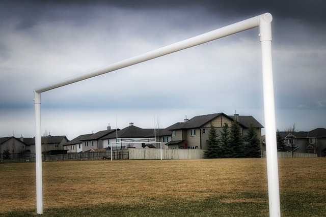 快船侧翼新秀特伦汀-弗劳尔斯在多方面能力尚待提高.