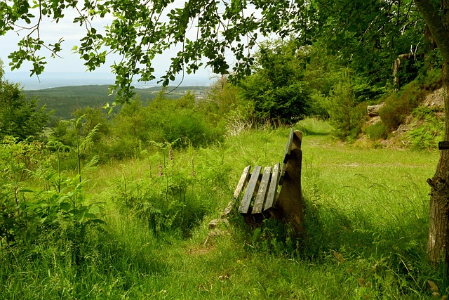 張玉寧的心 張玉寧的心