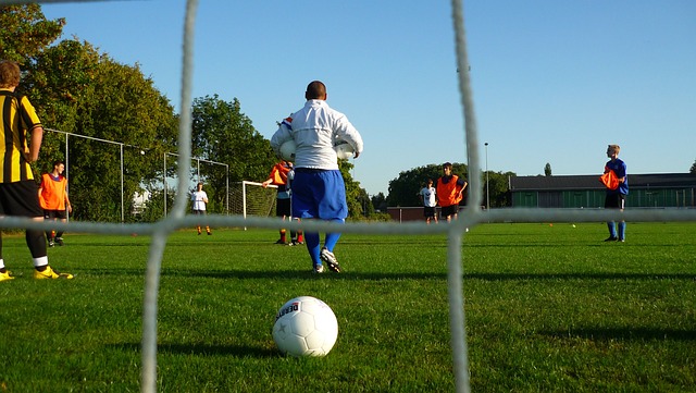 在篮球赛季 在篮球赛季